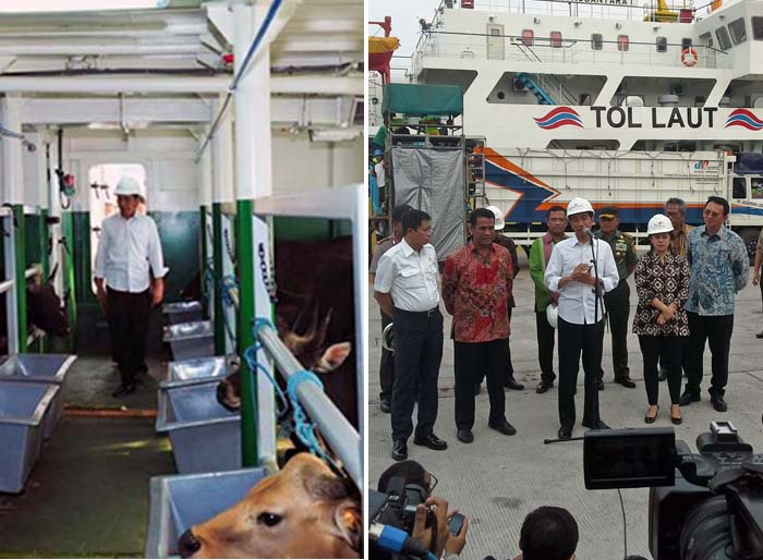 Kapal Ternak Diapresiasi Legislator dari Komisi IV DPR dan Puskud NTT